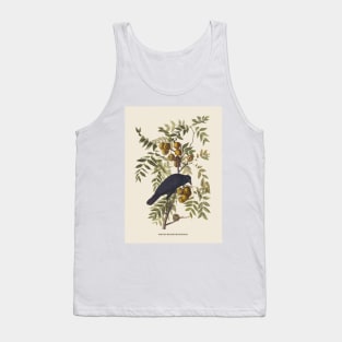 American Crow Antique Naturalist Illustration Tank Top